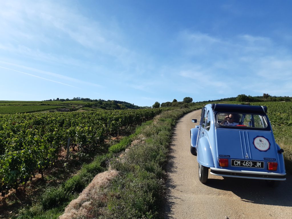 My French Tour - Visite insolites 2CV dans le vignoble en Bourgogne8