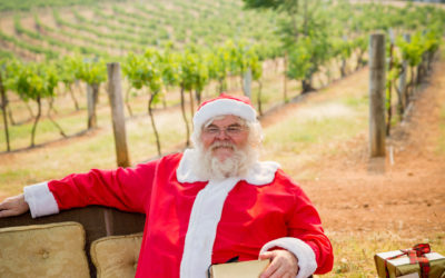 Idée Cadeau de noel : Offrez une expérience en véhicule Vintage !