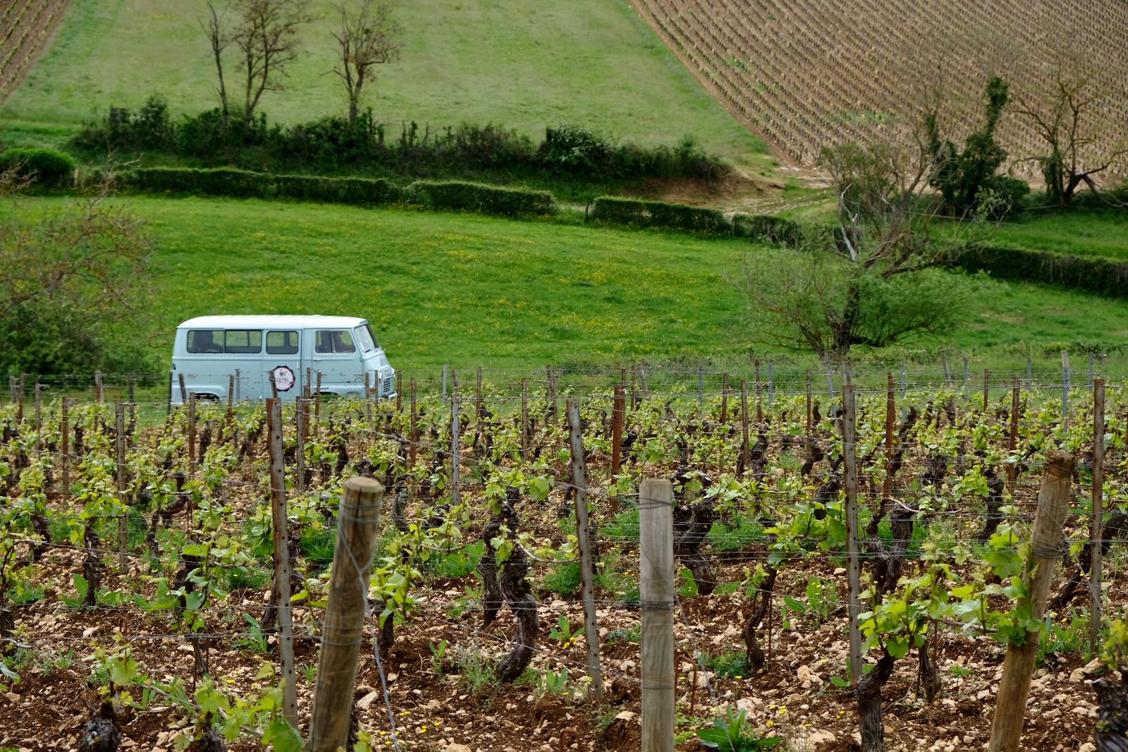 Visite insolites en groupe dans le vignoble à Beaune en Bourgogne