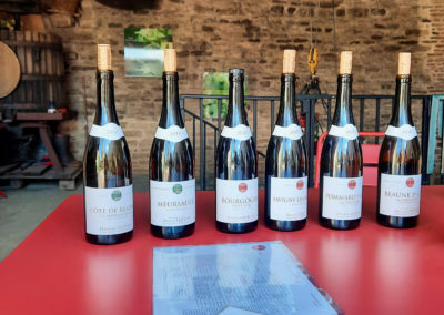 Dégustation sur la route des vins en Bourgogne