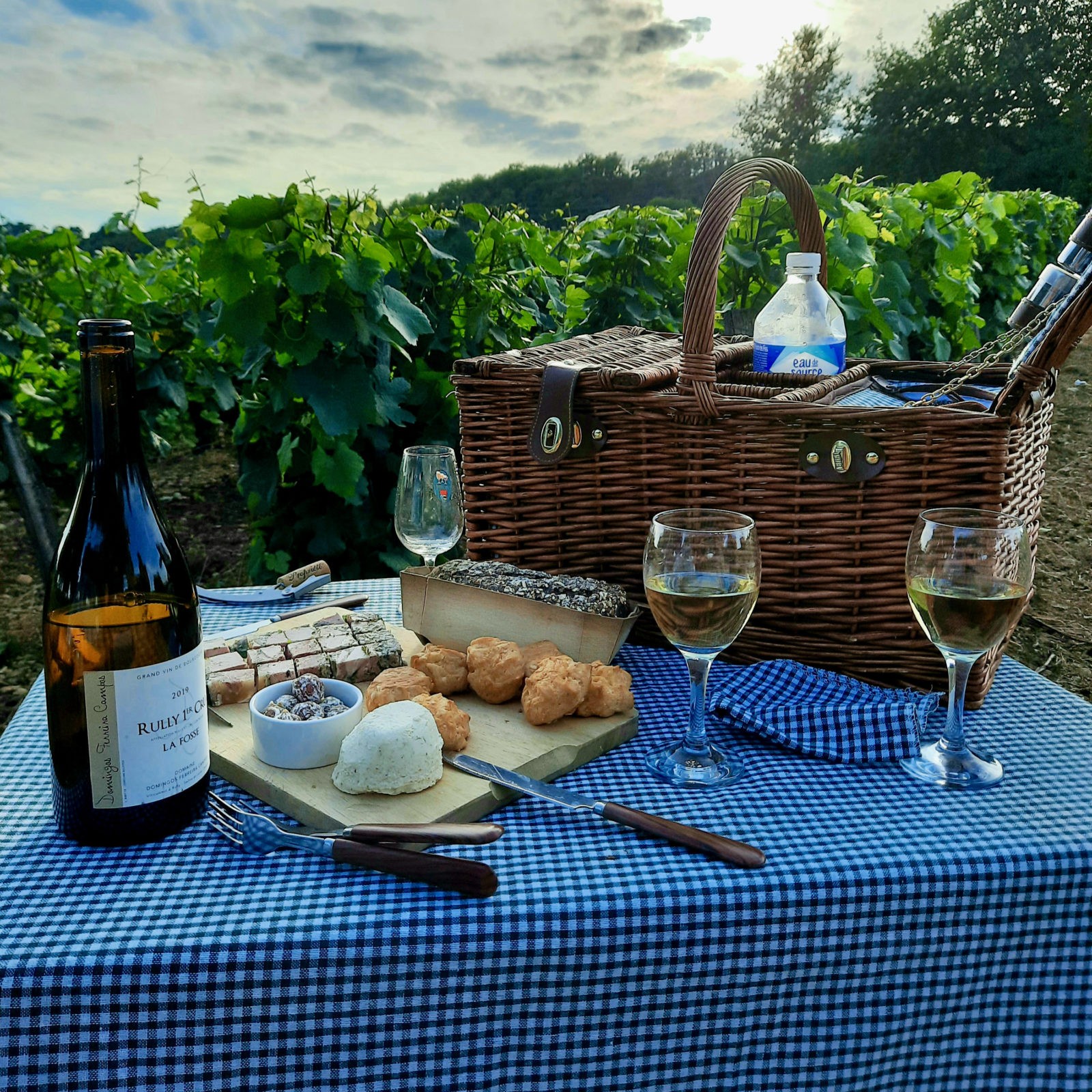 Picnic in the vineyard