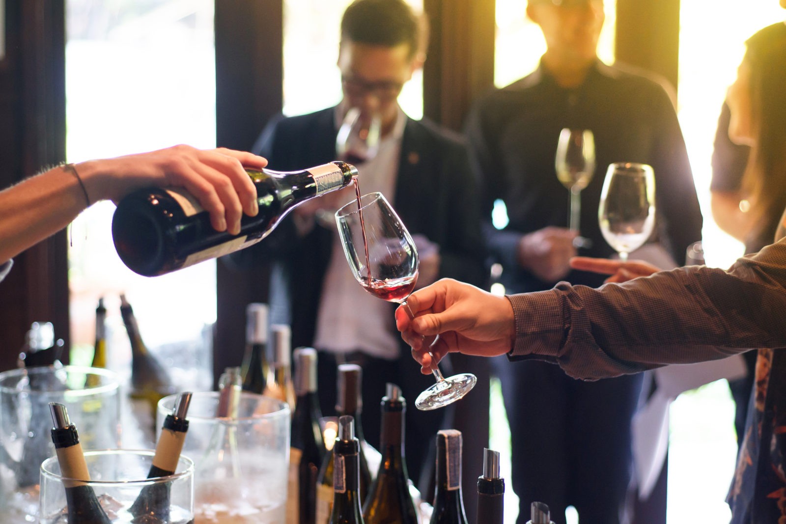 Visite de caves & dégustation de vins à beaune en Bourgogne