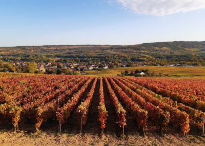 Découverte du vignoble en véhicule vintage, visites de caves et dégustations.