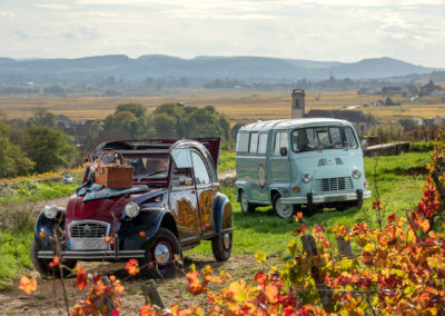 Tours dans le vignoble