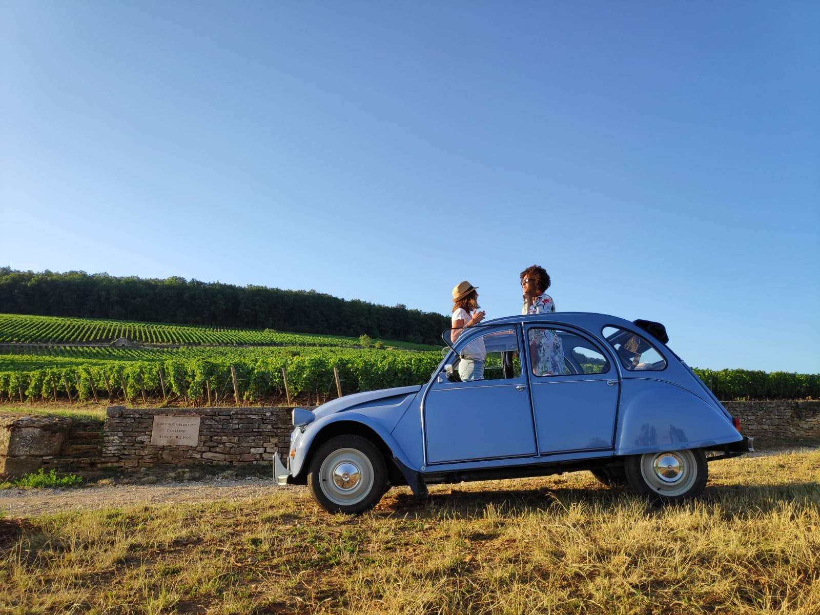 Live a unique experience in the vineyard of Burgundy