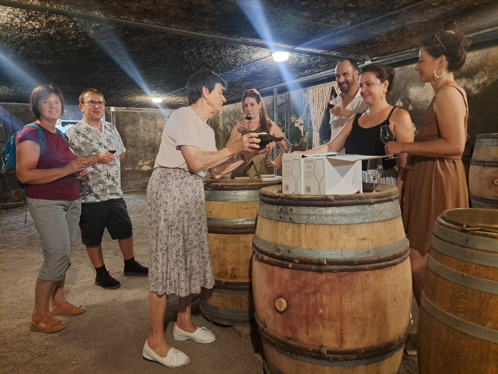 Visite insolite en groupe dans le vignoble à Beaune en Bourgogne