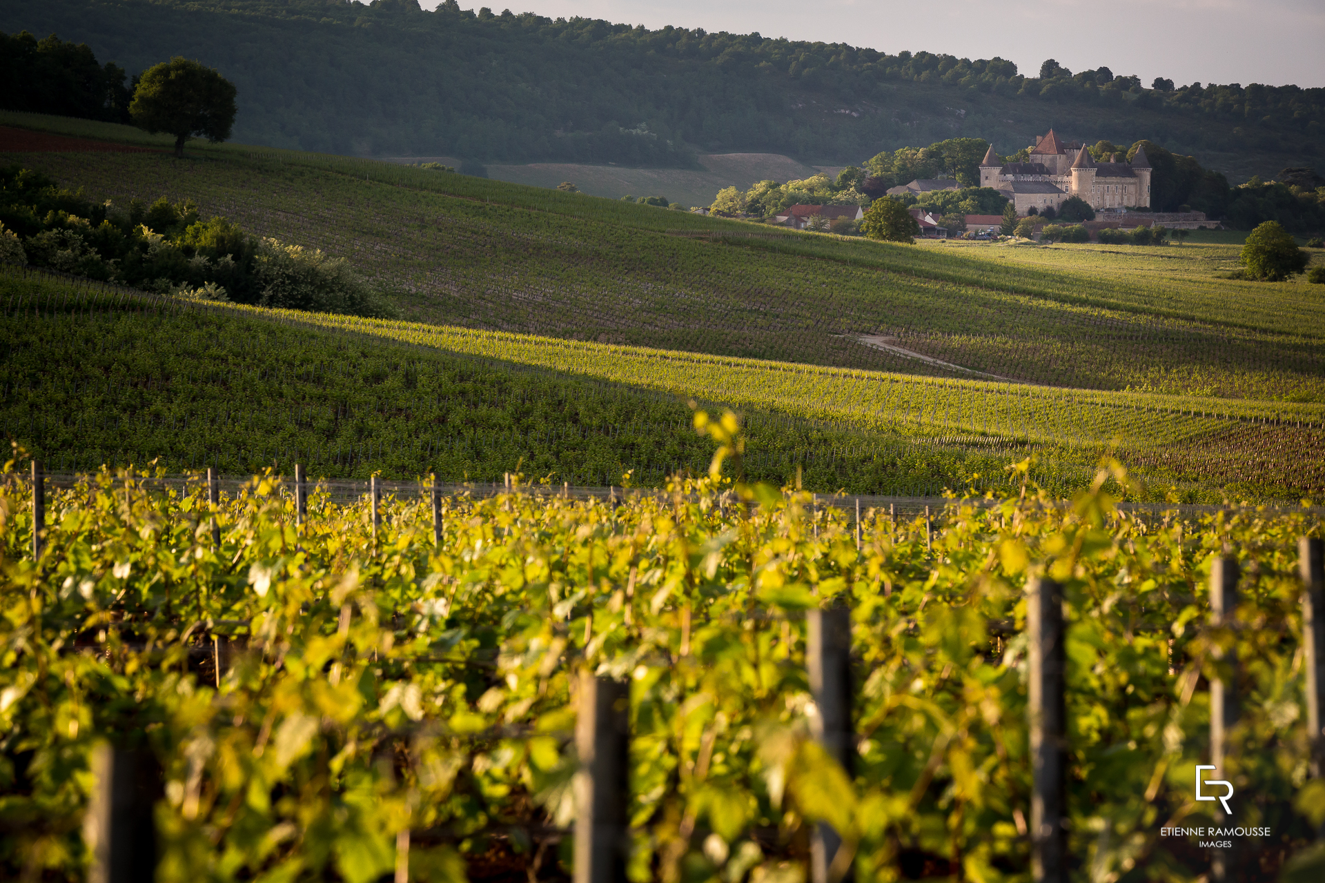 Vivez une expérience insolite en Bourgogne Balades dans le vignoble en véhicule vintage