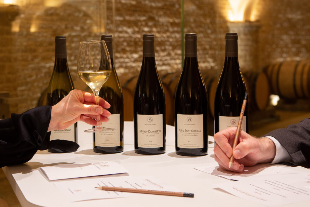 Visite d'un domaine viticole