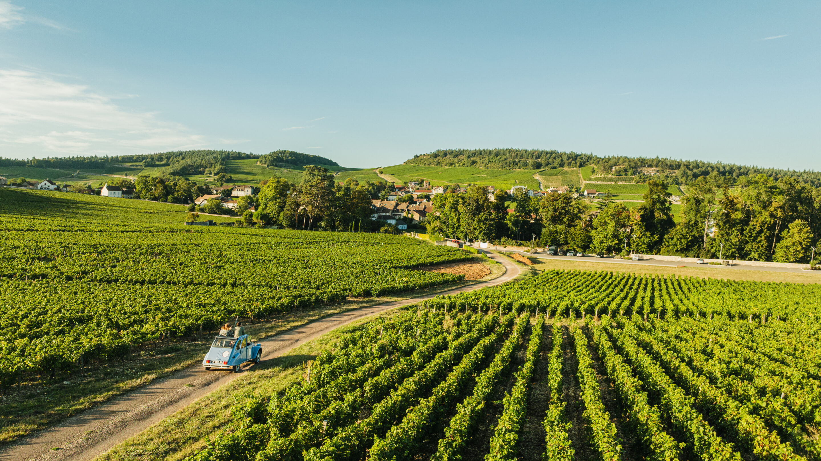 Apéro dans les vignes