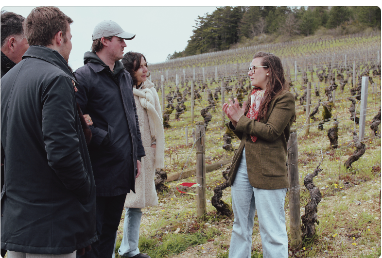 Dégustation dans la parcelle